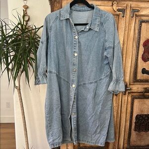 Denim Button-Up Dress